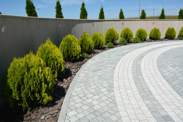 Best Interlocking Driveway Pavers  in Aurora, MN